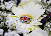 ring1